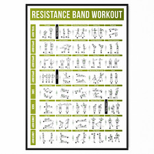 Listing image for Exercise Resistance Band Poster Workout Chart Gym Fitness Training A5-A1 - Gym